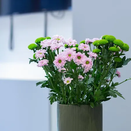 Апартаменты Bethesda - 10 Minutes A Pied Gare - Stationnement Gratuit Rue *